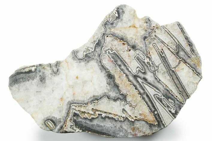 Polished Wyloo Agate Section - Australia #353692